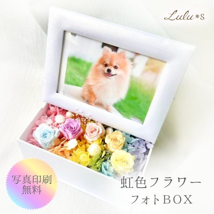 【ペットのメモリアルギフト】 虹の彼方 フォトBOX 虹色 ローズ プリザーブドフラワー 写真立て ペット 供養 お供え お悔やみ 贈り物 犬 猫 うさぎ ルルズ Lulu＊s 0735