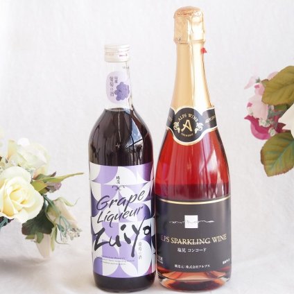 みずみずしくジューシーな風味の葡萄酒と国産ワインセット(塩尻コンコードスパークリングロゼワインやや甘口(長野県)720ml瑞鷹葡萄の酒10度(熊本県)720ml