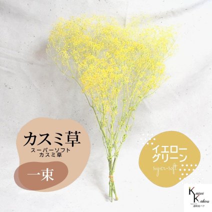 宅急便で発送 「大地農園 スーパーソフトミニカスミ草・フレア イエロー/グリーン 1束 」 ドライフラワー 花材 ハーバリウム 素材 小さいお花 アレンジメント ギフト 母の日 お誕生日 オオチノウエン プリザーブドフラワー プリザーブド プリザ