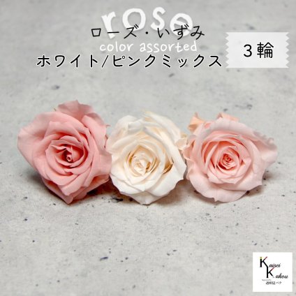 大地農園！プリザーブドフラワー 「ローズいずみ カラーアソート ホワイトピンクミックス 1輪ずつ3輪」 「ホワイトシャンパン ブライダルピンク バニラピンク 1輪ずつ3輪」 プリザ 花材 ハーバリウム オオチノウエン バラ 薔薇 ローズ rose