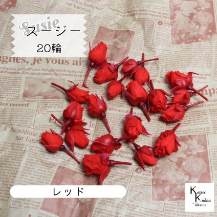 大地農園！プリザーブドフラワー 「スージー レッド 20輪」プリザ 花材 ハーバリウム おしゃれ かわいい プレゼント 贈り物　オオチノウエン