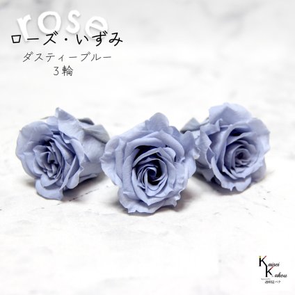 大地農園！プリザーブドフラワー 「ローズいずみ 3輪 ダスティーブルー」プリザ 花材 ハーバリウム おしゃれ かわいい プレゼント 贈り物　オオチノウエン バラ 薔薇 ローズ rose