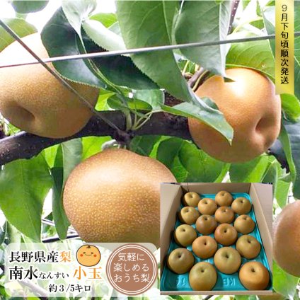 長野県産 梨 南水 小玉 ご自宅向け 果物 フルーツ お取り寄せ 産地直送 【送料無料(一部地域除く)】
