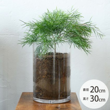 FOYER ホワイエ PVシリンダー 直径20cm×高さ30cm