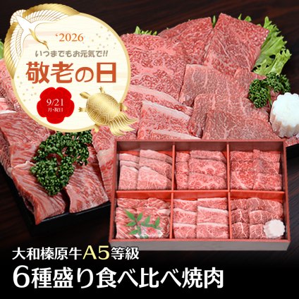 敬老の日専用熨斗でお届け！ 店長おまかせ 焼肉食べ比べセット（A5等級 6種盛り／100g×6部位） 父の日 父 パパ 祖父 義父 お父さん お肉好き 牛肉 黒毛和牛 誕生日 結婚祝い 新築祝い バーベキュー 家族 子供 みんなで パーティー 柔らか ジューシー おいしい ご褒美 贅沢 極上