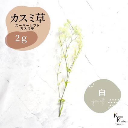 「大地農園 スーパーソフトミニカスミ草・フレア 白 2g 」 ドライフラワー 花材 ハーバリウム 素材 小さいお花 アレンジメント ギフト 母の日 お誕生日 オオチノウエン プリザーブドフラワー プリザーブド プリザ かすみそう カスミ ハンドメイド