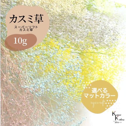 「大地農園 スーパーソフトミニカスミ草 選べるマットカラー 10g」 ドライフラワー 花材 ハーバリウム 素材 小さいお花 アレンジメント ギフト 母の日 お誕生日 オオチノウエン プリザーブドフラワー プリザーブド プリザ かすみそう カスミ ハンドメイド
