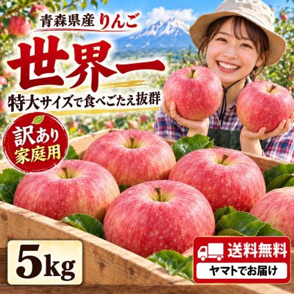 青森県産　りんご　世界一　特大　訳あり　家庭用　5kg　9～14玉　送料無料！