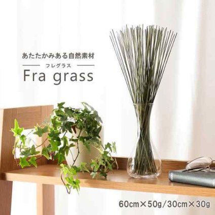 サスティナブル 自然素材 国産 い草 無垢 インテリア 置物 オブジェ ナチュラル 60cm
