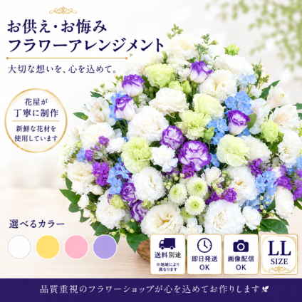 お供え花 お悔やみ 生花アレンジメント LLサイズ 高さ約50cm フラワーアレンジメント 供花 仏花 命日 お盆 お彼岸 法事 四十九日 一周忌 三回忌 枕花【送料別途・地域により異なります】【北海道・沖縄・九州・四国・中国・離島は配送不可】