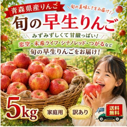 青森県産　りんご　旬の早生ふじ　訳あり　5kg 送料無料！　恋空・未希ライフ・シナノレッド・つがるなど旬のものをお届け！