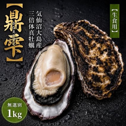 【生食用】 牡蠣 殻付き 1kg（9〜11個） 気仙沼大島産 三倍体 真牡蠣 鼎雫 かなえしずく ブランド牡蠣 送料無料 生カキ ギフト 贈答