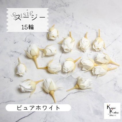 大地農園！プリザーブドフラワー 「スージー ピュアホワイト 15輪」プリザ 花材 ハーバリウム おしゃれ かわいい プレゼント 贈り物　オオチノウエン