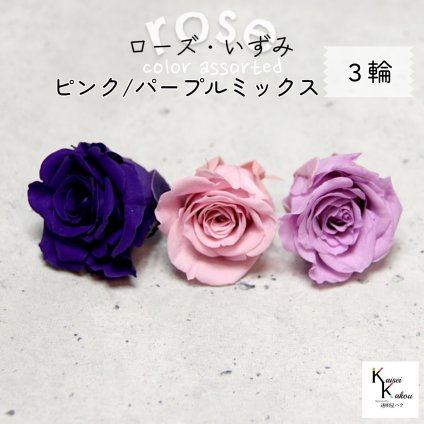 大地農園！プリザーブドフラワー 「ローズいずみ カラーアソート ピンクパープルミックス 1輪ずつ3輪」 「クリスタルピンク スウィートライラック グレープ 1輪ずつ3輪」 プリザ 花材 ハーバリウム オオチノウエン バラ 薔薇 ローズ rose