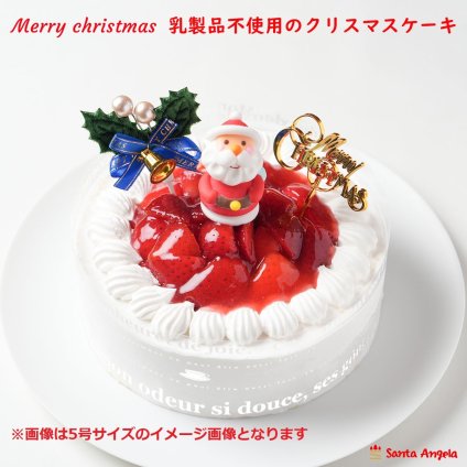 クリスマス乳製品アレルギー対応4号12センチ（2人分）☆ご予約受付中 2026年