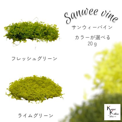 大地農園！プリザーブドフラワー 「サンウィーバイン カラーが選べる 20g」プリザ 花材 ハーバリウム おしゃれ かわいい プレゼント 贈り物　オオチノウエン sanweevine サンウィーバイン
