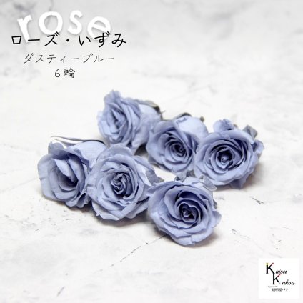 大地農園！プリザーブドフラワー 「ローズいずみ 6輪 ダスティーブルー」プリザ 花材 ハーバリウム おしゃれ かわいい プレゼント 贈り物　オオチノウエン バラ 薔薇 ローズ rose