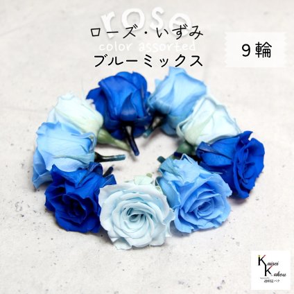 大地農園！プリザーブドフラワー 「ローズいずみ カラーアソート ブルーミックス 3輪ずつ9輪」 「ベビーブルー ソーダブルー インディゴブルー 3輪ずつ9輪」 プリザ 花材 ハーバリウム オオチノウエン バラ 薔薇 ローズ rose