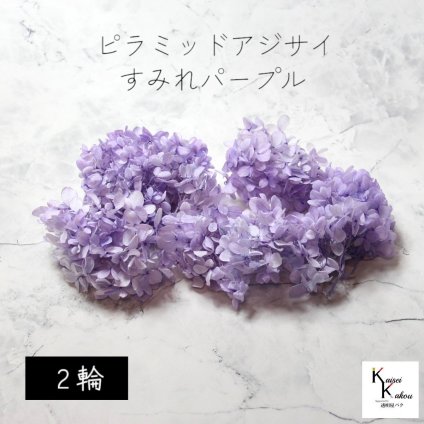 メール便で発送 大地農園！プリザーブドフラワー 「ピラミッドアジサイ・ヘッド（グラデーション） すみれパープル 2輪分」 プリザ アジサイ 紫陽花 花材 ハーバリウム おしゃれ かわいい プレゼント 贈り物 オオチノウエン ピラミッドアジサイ
