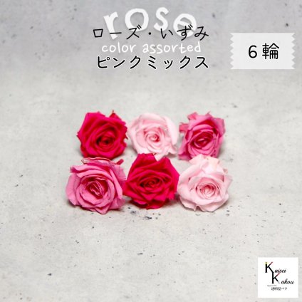 大地農園！プリザーブドフラワー 「ローズいずみ カラーアソート ピンクミックス 2輪ずつ6輪」 「シャーベットピンク プリンセスピンク フランボワーズ 2輪ずつ6輪」 プリザ 花材 ハーバリウム オオチノウエン バラ 薔薇 ローズ rose