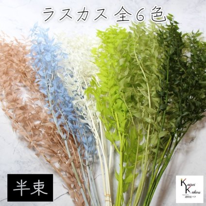 大地農園！ プリザーブドフラワー 「ラスカス 半束 選べる」プリザ ドライフラワー 花材 装飾 ハーバリウム おしゃれ かわいい プレゼント 贈り物 オオチノウエン
