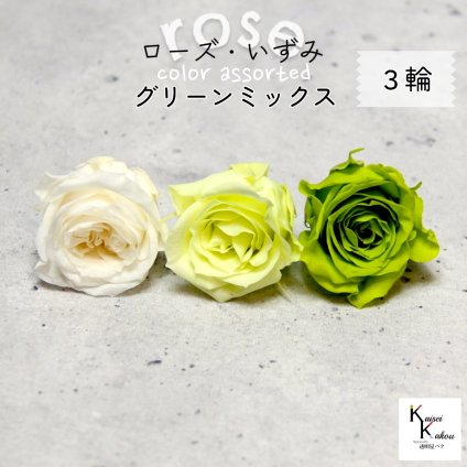 大地農園！プリザーブドフラワー 「ローズいずみ カラーアソート グリーンミックス 1輪ずつ3輪」 「ライトグリーン フレッシュグリーン アンティックホワイト 1輪ずつ3輪」 プリザ 花材 ハーバリウム オオチノウエン バラ 薔薇 ローズ rose