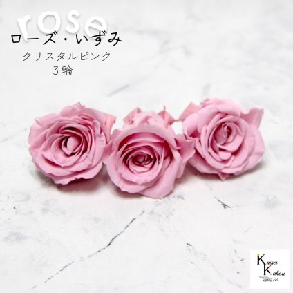 大地農園！プリザーブドフラワー 「ローズいずみ 3輪 クリスタルピンク」プリザ 花材 ハーバリウム おしゃれ かわいい プレゼント 贈り物　オオチノウエン バラ 薔薇 ローズ rose