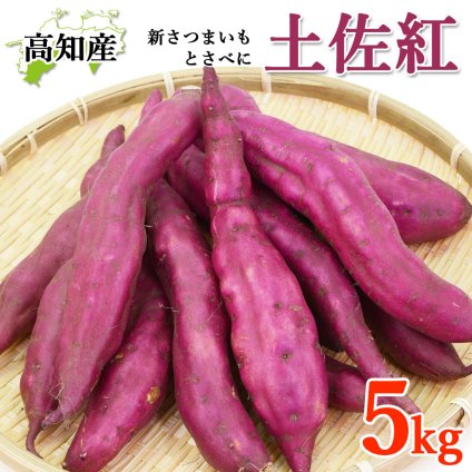 高知産 新いも 新さつまいも 5kg 土佐紅 新芋 早掘り芋 高知 さつまいも 堀りたて 夏芋 春夏いも 焼きいも 天ぷら 芋天 大学芋 地元の高知県から直送します【送料無料】