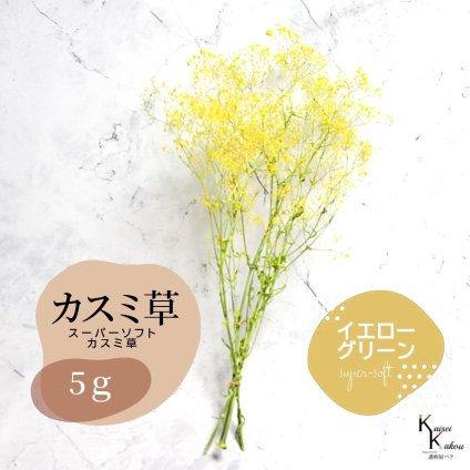 「大地農園 スーパーソフトミニカスミ草・フレア イエロー/グリーン 5g」 ドライフラワー 花材 ハーバリウム 素材 小さいお花 アレンジメント ギフト 母の日 お誕生日 オオチノウエン プリザーブドフラワー プリザーブド プリザ かすみそう カスミ ハンドメイド