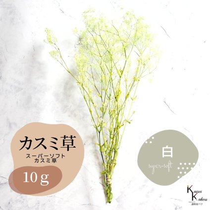 「大地農園 スーパーソフトミニカスミ草・フレア 白 10g 」 ドライフラワー 花材 ハーバリウム 素材 小さいお花 アレンジメント ギフト 母の日 お誕生日 オオチノウエン プリザーブドフラワー プリザーブド プリザ かすみそう カスミ ハンドメイド