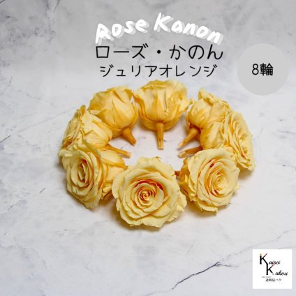 大地農園！プリザーブドフラワー 「ローズかのんL ジュリアオレンジ 8輪」プリザ 花材 ハーバリウム おしゃれ かわいい プレゼント 贈り物　オオチノウエン