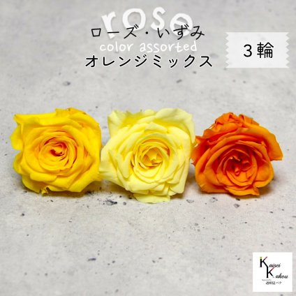 大地農園！プリザーブドフラワー 「ローズいずみ カラーアソート オレンジミックス 1輪ずつ3輪」 「モーニングイエロー ミモザイエロー フルーティーオレンジ 1輪ずつ3輪」 プリザ 花材 ハーバリウム オオチノウエン バラ 薔薇 ローズ rose