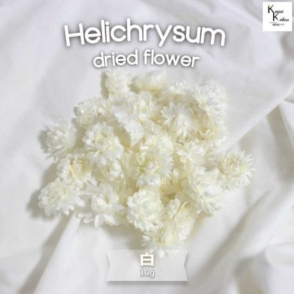 大地農園！ドライフラワー　10ｇ分　「ヘリクリサム　白」プリザ　花材 ハーバリウム おしゃれ かわいい プレゼント 贈り物　オオチノウエン プリザーブドフラワー