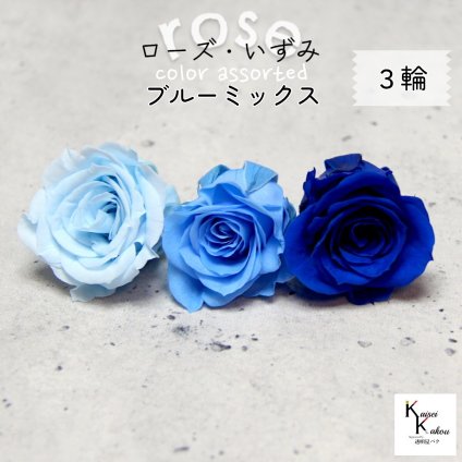 大地農園！プリザーブドフラワー 「ローズいずみ カラーアソート ブルーミックス 1輪ずつ3輪」 「ベビーブルー ソーダブルー インディゴブルー 1輪ずつ3輪」 プリザ 花材 ハーバリウム オオチノウエン バラ 薔薇 ローズ rose