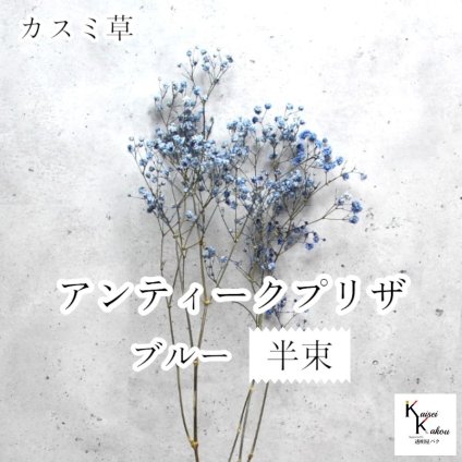 大地農園！プリザーブドフラワー 「アンティークプリザ・カスミ草 半束 ブルー」プリザ カスミ草 カスミソウ 花材 ハーバリウム おしゃれ かわいい プレゼント 贈り物　オオチノウエン
