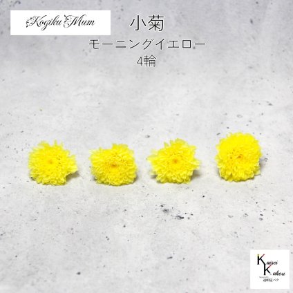 大地農園「小菊 モーニングイエロー 4輪」プリザーブドフラワー　プリザ　ハーバリウム　小花 ドライフラワー ハーバリウム アロマワックスバー