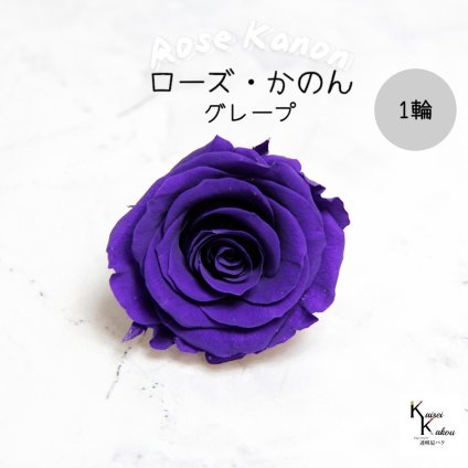 大地農園！プリザーブドフラワー 「ローズかのんL グレープ 1輪」プリザ 花材 ハーバリウム おしゃれ かわいい プレゼント 贈り物　オオチノウエン