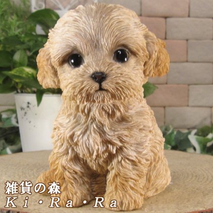 犬　置物 リアル　マルチーズ　プードル　ミックス犬　マルプー　お座り　いぬ　動物オブジェ　ガーデン　オーナメント　店舗　カウンター　装飾　オブジェ　インテリア　玄関先　庭　犬好きさん人気ギフト　動物人気ギフト　クリスマスプレゼント　お誕生日祝い　母の日人気　父の日人気　敬老の日人気