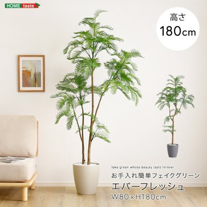 お手入れ簡単 フェイクグリーン エバーフレッシュ Lサイズ(180cm) 新生活