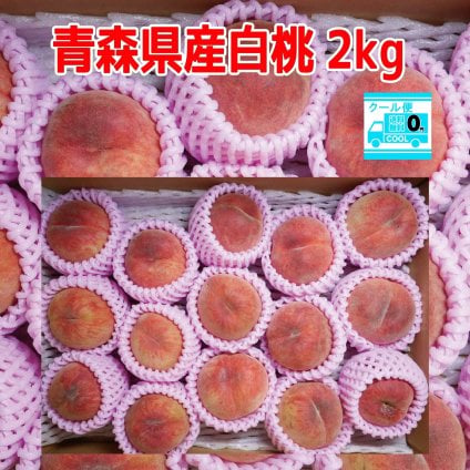 クール冷蔵便！青森県産　白桃　家庭用　2ｋｇ 送料無料！