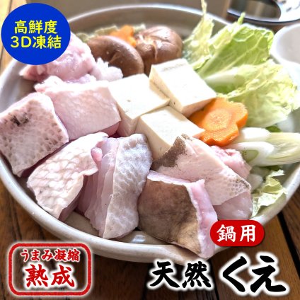 幻の高級魚　天然本クエ鍋セット（冷凍）約500ｇ（身とアラ）約2～3人前  大きなクエ使用 　送料無料　※北海道、東北、沖縄は送料別途加算 本クエ くえ 九絵 アラ クエ 魚 クエ鍋 海鮮鍋 高級魚