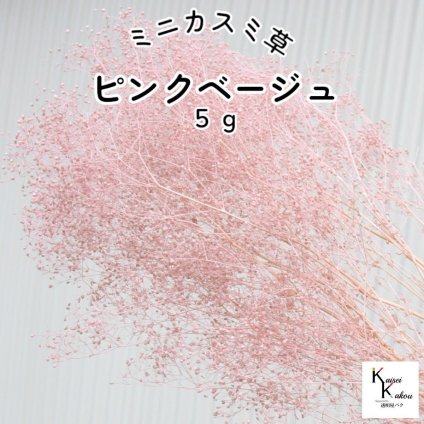 大地農園！プリザーブドフラワー「ミニカスミ草 ピンクベージュ 5g」プリザ カスミ草　カスミソウ 花材 ハーバリウム おしゃれ かわいい プレゼント 贈り物　オオチノウエン