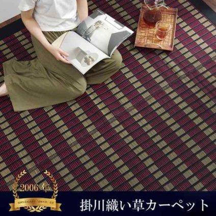 【福岡県品評会最優秀賞】敷物 国産 日本製 純国産 い草 掛川織 花ござ 抗菌防臭 自然素材 モダン 江戸間2畳 約174×174cm