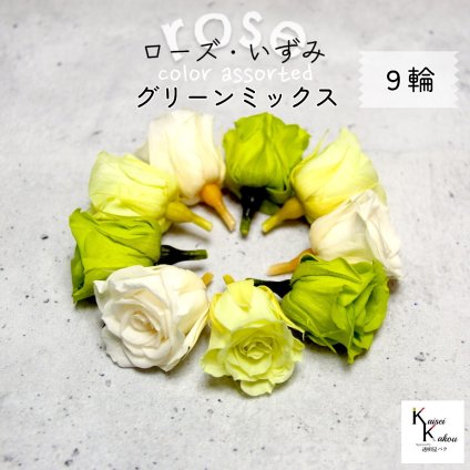 大地農園！プリザーブドフラワー 「ローズいずみ カラーアソート グリーンミックス 3輪ずつ9輪」 「ライトグリーン フレッシュグリーン アンティックホワイト 3輪ずつ9輪」 プリザ 花材 ハーバリウム オオチノウエン バラ 薔薇 ローズ rose