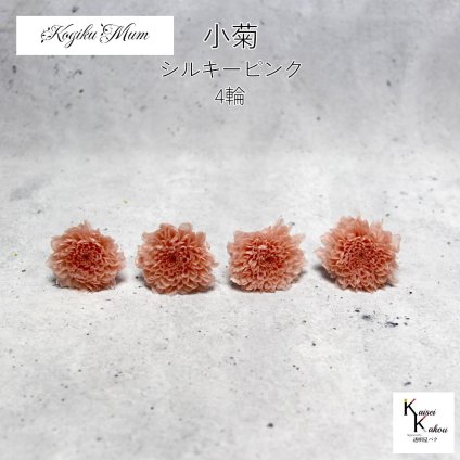 大地農園「小菊 シルキーピンク 4輪」プリザーブドフラワー　プリザ　ハーバリウム　小花 ドライフラワー ハーバリウム アロマワックスバー