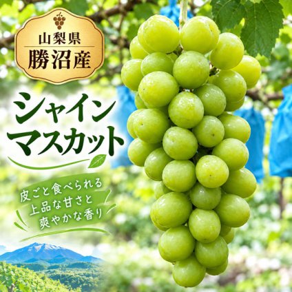 【シャインマスカット】２ｋｇ箱（３房前後）山梨県勝沼産10月～11月初旬発送予定。【送料無料】