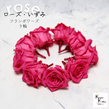 大地農園！プリザーブドフラワー 「ローズいずみ 9輪 フランボワーズ」プリザ 花材 ハーバリウム おしゃれ かわいい プレゼント 贈り物　オオチノウエン バラ 薔薇 ローズ rose
