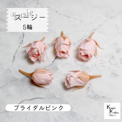 大地農園！プリザーブドフラワー 「スージー ブライダルピンク 5輪」プリザ 花材 ハーバリウム おしゃれ かわいい プレゼント 贈り物　オオチノウエン