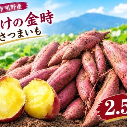 山梨産さつまいも【あけの金時】2.5ｋｇ箱