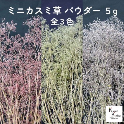 大地農園！プリザーブドフラワー「ミニカスミ草 パウダー 5g 選べる」プリザ カスミ草 カスミソウ 花材 ハーバリウム おしゃれ かわいい プレゼント 贈り物 オオチノウエン